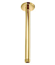 Ceiling shower arm